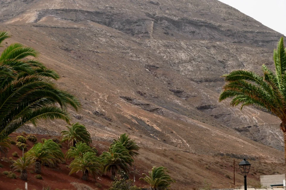 P1000840 960x640